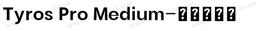 Tyros Pro Medium字体转换